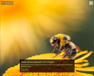 Sitio web básico